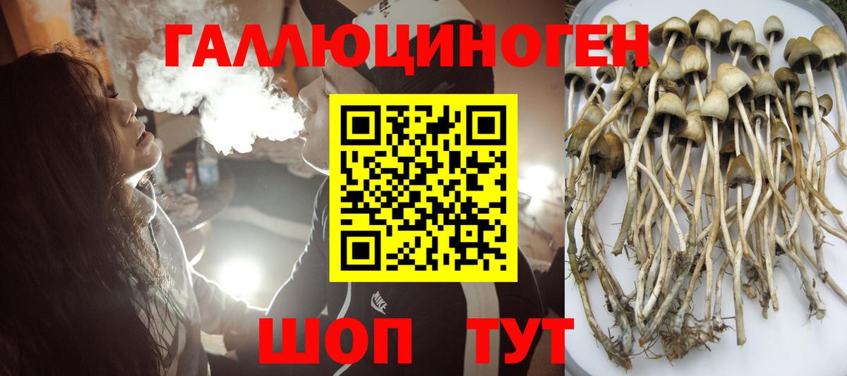 Галлюциногенные грибы MAGIC MUSHROOMS Лысьва